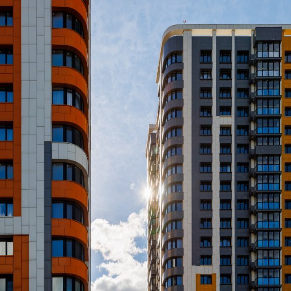 בניית אתרים נדלן